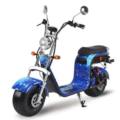 1500w Brushless Motor 60v12a Front And Rear Oil Disc Brake LED Headlamp Lithium Battery Customizable Two Wheels Electric Scooter
