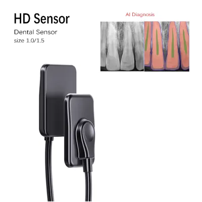 AI Diagnosis Dental Sensor X-Ray Sensor Digital Intraoral System Intra-Oral with Software 3m Cable Dyn Image Fast Transmit