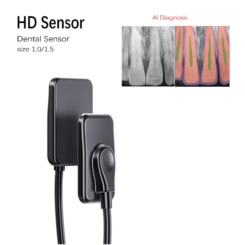 AI Diagnosis Dental Sensor X-Ray Sensor Digital Intraoral System Intra-Oral with Software 3m Cable Dyn Image Fast Transmit